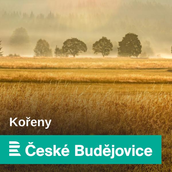 Kořeny – Z dějin jihočeských rodin a rodů